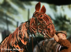 War Horse the stage play.