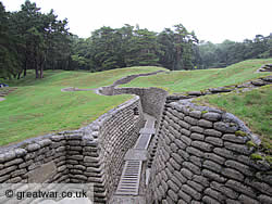 preserved trenches at Vimy Ridge Memorial Park