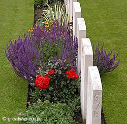 Graves and summer flowers at Tyne Cot cemetery, Passchendaele in the Ypres Salient battlefield.