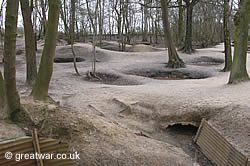 Preserved trenches and shell craters in Sanctuary Wood, Ypres Salient, Belgium