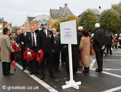 Members of the public gather for The Poppy Parade.